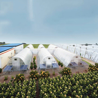 Serre commerciale à simple travée, système hydroponique, grande utilisation agricole, fabriquée en Europe, en PVC double couche