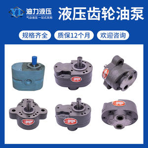 Nueva Bomba de Engranajes Hidráulica de Aceite Eléctrica de Avance y Retroceso CB-B6RB10B16B32B63 para Lubricación de Máquinas Herramienta - Product Image 4