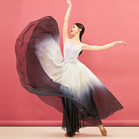 Costumes de danse classique, robe chinoise, costumes de danse pour examen artistique, jupe à rythme corporel, changement de couleur progressif, vêtements élégants pour femmes