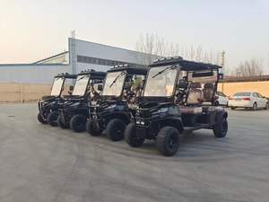 Carrito de Golf Eléctrico Clásico de 6 Plazas con Batería de 48V, Compatible con Pantallas, en Oferta - Product Image 5