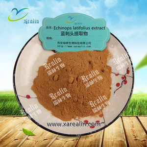 Extracto de <span class=keywords><strong>Echinops</strong></span> Latifolius 10:1 en Polvo - Product Image 2