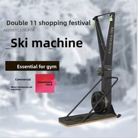 Máquina de remo y esquí comercial con resistencia ajustable, equipo de ejercicio cardiovascular para gimnasio, resistente al viento