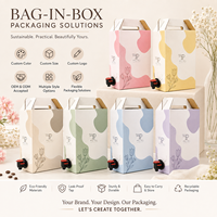 Sac en plastique Bag-in-Box 3L 5L 10L de qualité alimentaire avec valve pour eau potable, vin, jus, lait, bec verseur, imprimé en héliogravure, recyclable