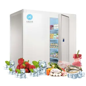 Frozen Meat Seafood Beef Chicken Vegetable Fruit Walk in Container Cool Freezing Freezer Cold Room