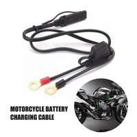 12V SAE connecteur à déconnexion rapide prise 2 broches cuivre PVC fusible batterie charge câble d'extension d'alimentation pour usage industriel