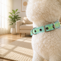 Collier pour chien en polyester tendance avec motif lettres, boucle ardillon détachable, pour promenade estivale