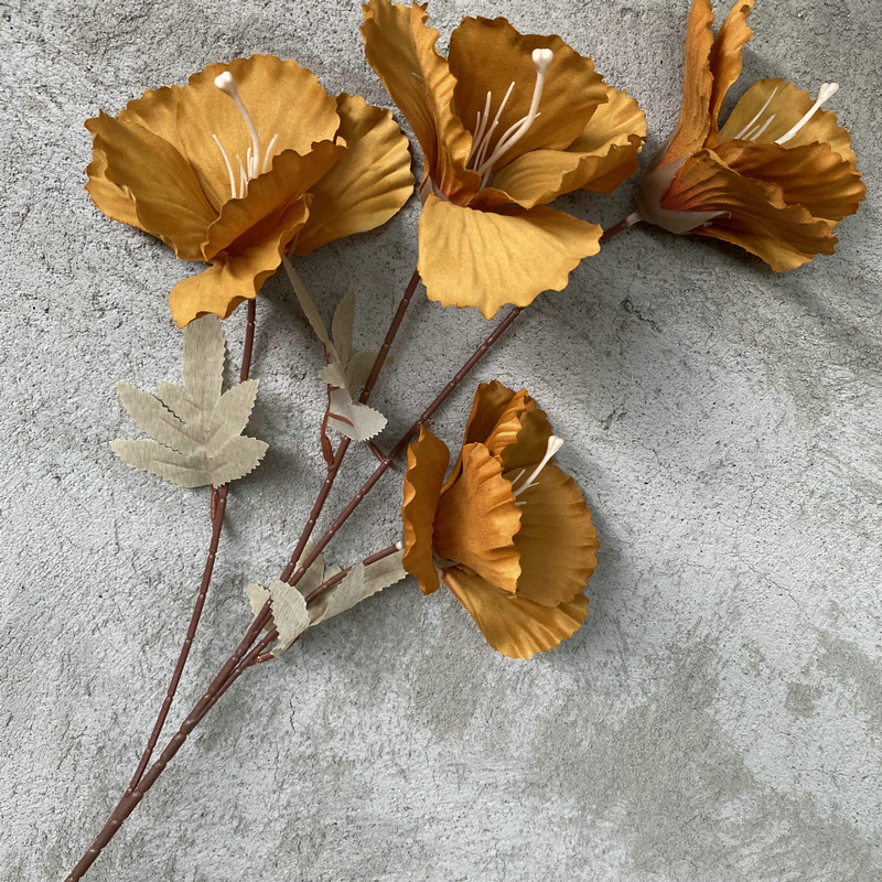 4 têtes, non.2, Orange d'automne