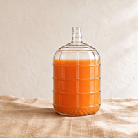Bouteille de Fermentation en Verre à Texture Grille, Carafe en Verre Alimentaire, Grand Récipient pour Jus de Carotte, Jus de Blé et Boissons Maison