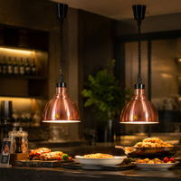 Power Großhandel Küchengeräte hängen Lebensmittel wärmer Lampe/elektrische bunte Buffet Lebensmittel Wärme lampe für Restaurant