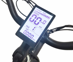 Triciclo eléctrico para adulto, <span class=keywords><strong>tres</strong></span> <span class=keywords><strong>ruedas</strong></span>, <span class=keywords><strong>plegable</strong></span>, precio de fábrica personalizado, OEM - Product Image 5