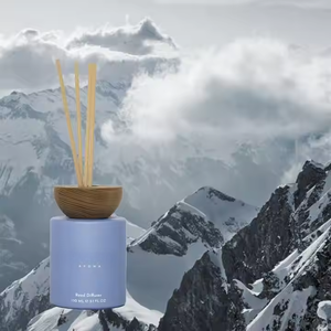 Chất lượng cao tùy chỉnh loạt nước hoa trái cây cho bộ khuếch tán sậy tăng cường tinh dầu tự nhiên không độc hại thủy tinh tươi mát - Product Image 4