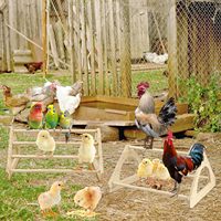 Jouets en bambou JQ pour poussins, barre de perchoir robuste pour poulets, grande perchoir en bois pour poussins pour poulailler et enclos