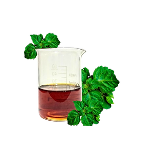 Aceite Esencial de Pachulí Puro Premium con Aroma Amaderado Terroso para Fijador de Perfumes - Product Image 1