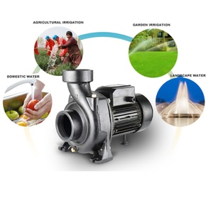 Offre Spéciale 0.5HP 350W pompe à eau de surface solaire DC pompe terrestre <span class=keywords><strong>avec</strong></span> moteur sans balais contrôleur MPPT pour l'irrigation - Product Image 6