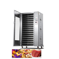 Kleine Kokosnoot Kopra Gember Noodle Mangoe Vlees Ui Maïs Vis Droger Machine