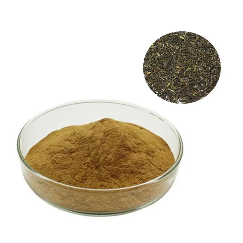 Supply Organic Black Tea Extract 10%-40% Theaflavin Instant Black Tea Extract Powder
