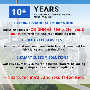 ZE 18-12-400 A1 Électrode d'<span class=keywords><strong>allumage</strong></span> à double usage en céramique résistante aux hautes températures pour chaudières industrielles - Product Image 5