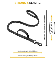Laisse pour chien en nylon robuste, ensemble de laisses d'entraînement au design simple pour chiens de grande et moyenne taille et rubans