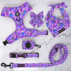 Adorable diseño de flamenco Impresión de arneses para mascotas Accesorios Premium Hebilla de metal Collar de perro personalizado con correas Perro - Product Image 3