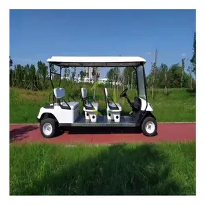 सही डिजाइन 4 व्यक्ति सीटर इलेक्ट्रिक गोल्फ बैग धारक के साथ कंप्यूटर बुद्धिमान चार्जर गोल्फ गाड़ी