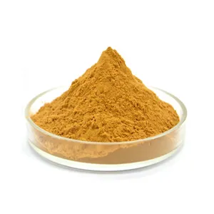High quality Echinacea Purpurea Extract powder 4% Echinacea Polyphenols in Bulk