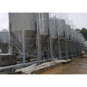 Progetto Chiavi in Mano per Allevamento Suini, Attrezzatura Automatica per l'Allevamento di Suini, Anti-Corrosione, per Sud-est Asiatico e Sud America - Product Image 3