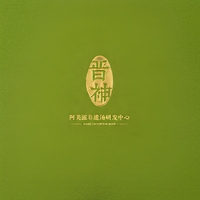 Boîte cadeau magnétique pliable personnalisée verte avec doublure en carton, languette à ruban et impression de logo UV pour la vente au détail