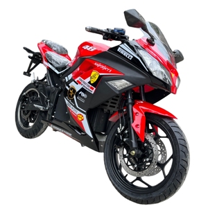 Motocicleta Eléctrica Todoterreno de Alta Potencia, 72V 3000W, sin Escobillas, Económica, para Adultos, 80km/h, Venta Caliente en China - Product Image 5