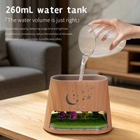 Diffuseur de micro-paysage à flamme simulée 3D, 260 ml, lumière LED à 8 couleurs changeantes, humidificateur d'huiles essentielles pour voiture et bureau