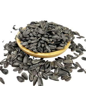 Vente en gros <span class=keywords><strong>de</strong></span> graines <span class=keywords><strong>de</strong></span> <span class=keywords><strong>tournesol</strong></span> <span class=keywords><strong>pour</strong></span> huile, noyau <span class=keywords><strong>de</strong></span> <span class=keywords><strong>tournesol</strong></span> noir <span class=keywords><strong>de</strong></span> mongolie intérieure, meilleure qualité - Product Image 1