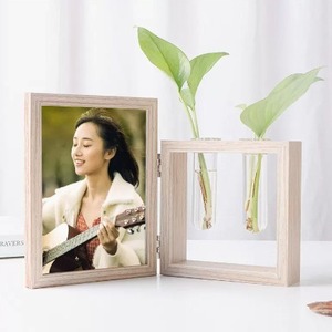 Cadre photo hydroponique pour plantes, décoration d'entrée, salon, meuble TV, bureau, ornements de décoration - Product Image 4