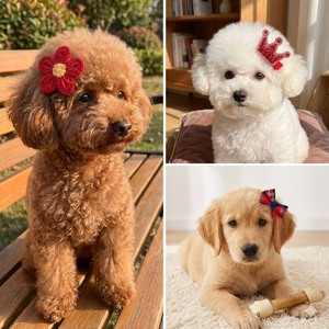 5 قطع من مشابك الشعر الصيفية الصديقة للبيئة للحيوانات الأليفة بتصميم مطبوع على شكل كلاب وقطط ودب تيدي - Product Image 5