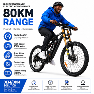 Bicicleta Eléctrica de Montaña de 27.5 Pulgadas, Aleación de Aluminio, 750W, 48V, 20Ah, 80km de Autonomía, Logotipo Personalizado, Precio de Fábrica al por Mayor - Product Image 1