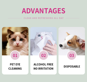 Toalhetes personalizados em <span class=keywords><strong>canister</strong></span>, toalhetes húmidos para cães de estimação, limpeza diária, refrescante, resfriamento úmido em tubo - Product Image 5