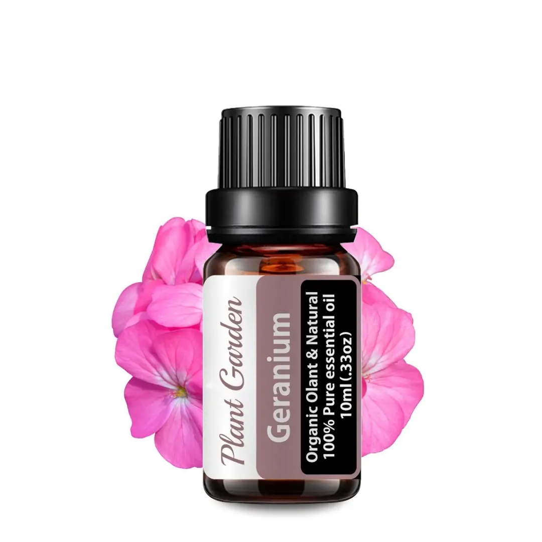 Undiluted 100% pure geranium humidifier diffuser aroma essential oil