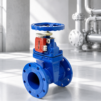 Vanne à opercule en fonte ductile à joint souple pour le contrôle des conduites d'eau et les services publics, vente en gros directe usine Chine
