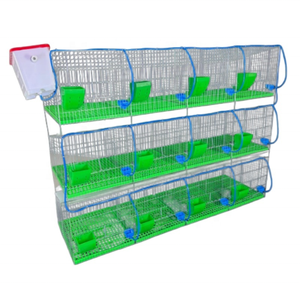 Cage d'élevage industrielle pour lapins à 12 compartiments avec plateau de collecte des excréments pour une élevage efficace - Product Image 4
