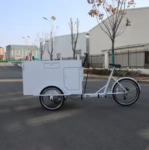 Desain baru Denish Holland cargo coffee bike 3 wheel recumbent trike frame