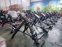 Máquina de Remo en T con Palanca Inclinada de Carga de Discos para Gimnasio Comercial