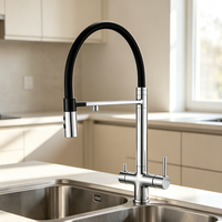 Robinet de cuisine extractible en chrome poli avec pulvérisateur magnétique et filtration d'eau, corps en laiton