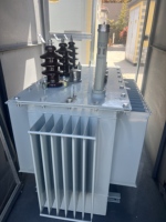 Transformador Sumergido en Aceite, Trifásico, Salida de 2500Kva/1500Kva/1600Kva/1000Kva a 380V, Estructura de Bobina Toroidal, Frecuencia de 50Hz
