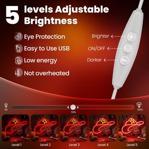 Skull LED neon cowboy hat Halloween decoration light USB powered indoor shop window ambient light indicator <b>sign</b> 5V 12V - Product Image 2