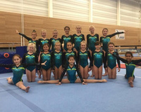 Justaucorps de gymnastique à manches longues pour filles et adultes, personnalisé, compétition, ombre mystique, avec strass