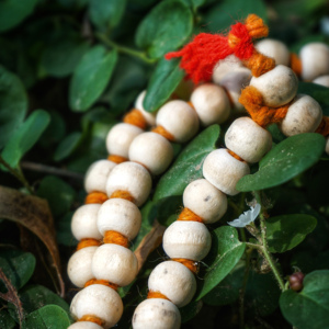 ชุดลูกปัดไม้ธรรมชาติมาลาสีขาว - Product Image 4