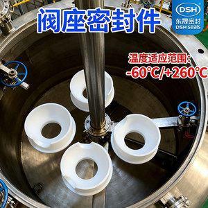 ซีลวาล์ว Dongsheng DSH วัสดุ PTFE สำหรับเครื่องปฏิกรณ์เคมี แหวนซีลมาตรฐาน ป้องกันฝุ่น กันน้ำ ทนการกัดกร่อน - Product Image 4