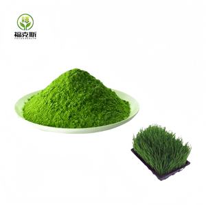 Poudre de jus d'herbe d'<span class=keywords><strong>orge</strong></span> biologique d'extrait de poudre de germe d'<span class=keywords><strong>orge</strong></span> de prix en vrac de fournisseur de superaliments verts de Chine - Product Image 2