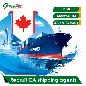 Servicio Puerta a Puerta en Canadá, Agente de Carga Marítima DHL, UPS, FedEx, LCL, FCL, DDP, DDU, FBA, Despacho de Aduanas, Importación, Exportación, Consolidación de Carga - Product Image 4