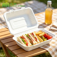 Boîte alimentaire rectangulaire jetable en bagasse 9x6 pouces, sans PFAS, pour plats à emporter, vente en gros