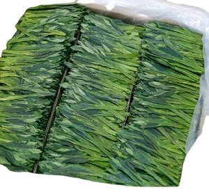 1kg di Tè Verde Tradizionale Cinese Taiping Houkui Naturale in Foglie Grandi e Belle - Product Image 1