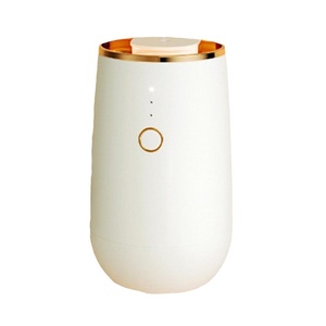 Boutique Exquisite <b>USB</b> Rechargeable Plastic Nano <b>Cool</b> Fog Anhydrous Car Aromatherapy Humidifier 10ml with Humidistat 36db Noise - Product Image 5